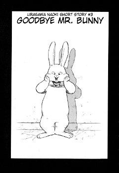 Goodbye Mr. Bunny